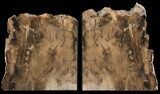 Petrified Wood Bookends - Oregon #65969-1